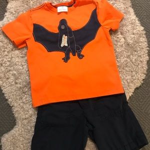 Hanna Andersson Tee 100